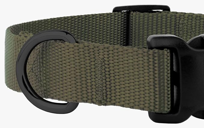 Country Brook Petz - American-Made Dog Collar for Large, Medium, and Small Dogs and Puppies - Deluxe Heavy Duty Nylon in 33 Dazzling Colors (Extra Large, 1 Inch Wide, Dark Olive Drab)