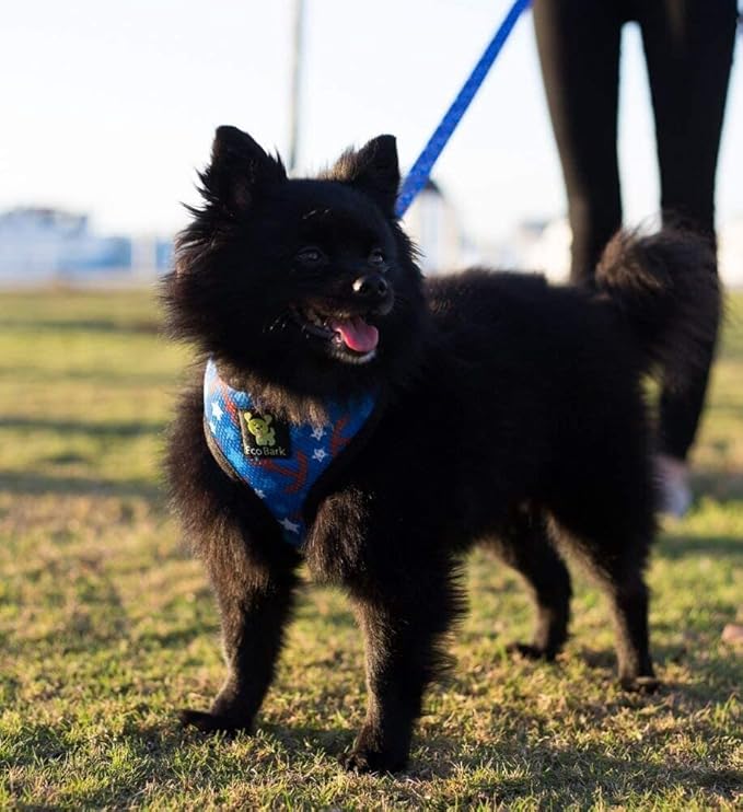 EcoBark Dog Harness - Eco-Friendly Max Comfort Harnesses - Luxurious Soft Mesh Halter - Over The Head Harness Vest- No Pull and No Choke for Puppy, Toy Breeds & Small Dogs (Medium, Nautical)