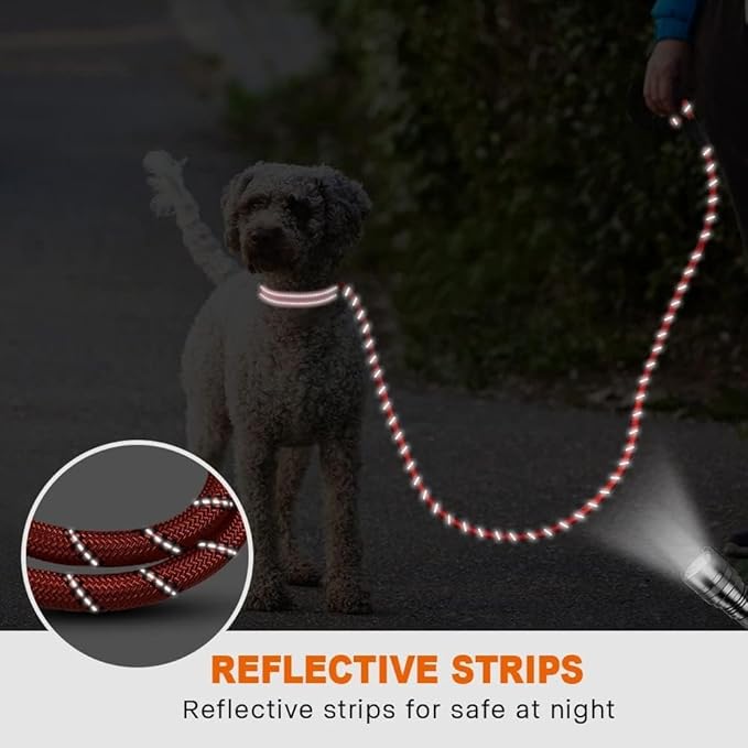 Taglory Rope Dog Leash 6 FT with Comfortable Padded Handle, Highly Reflective Threads Leash for Small Dogs, 3/8 inch, Red