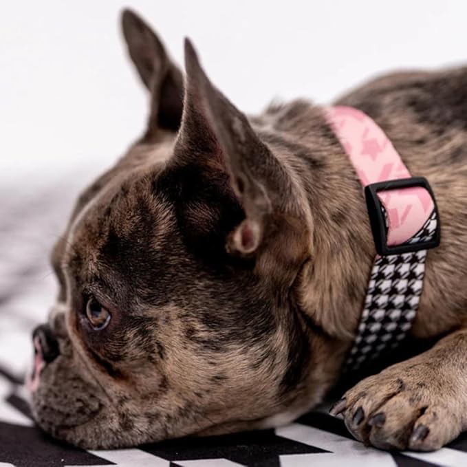 Wolfgang Heavy Duty, Adjustable Dog Collar with Quick Release Nylon Buckle for Walking & Training, HoundsPink Print, Small