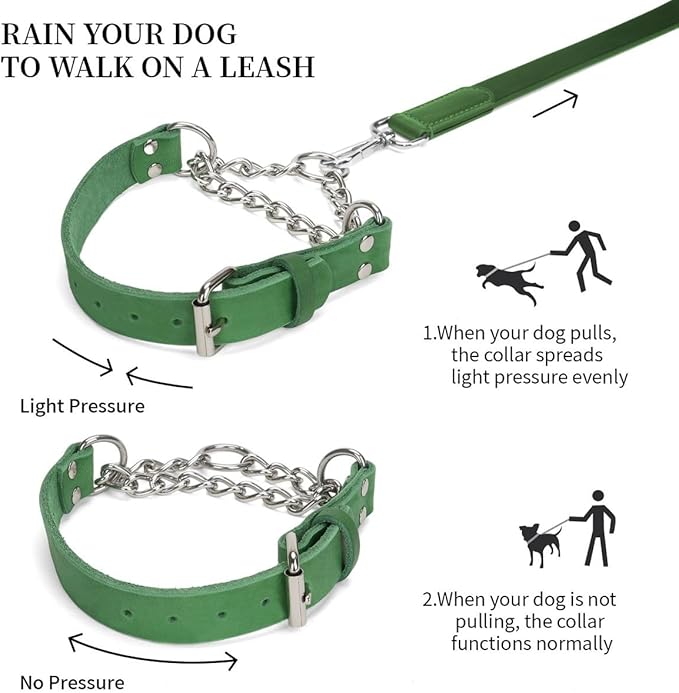 Martingale Collar for Dogs No-Pull Adjustable Training Collar with Stainless Steel Chain - Genuine Leather Anti-Slip Design for Small,Medium,Large Breed Dogs - Green (S)