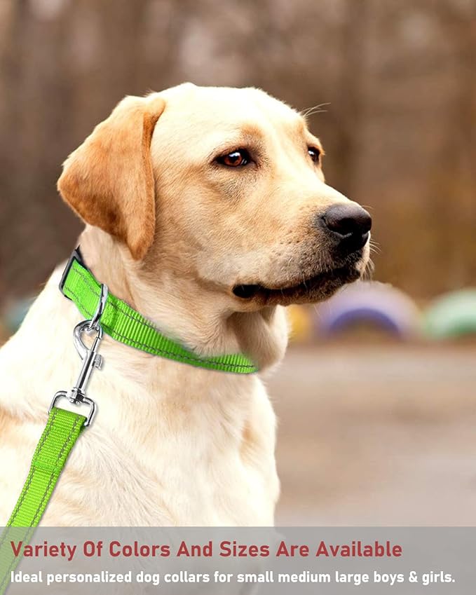 Reflective Dog Collar with Buckle Adjustable Safety Nylon Collars for Small Medium Large Dogs, Grass Green XS