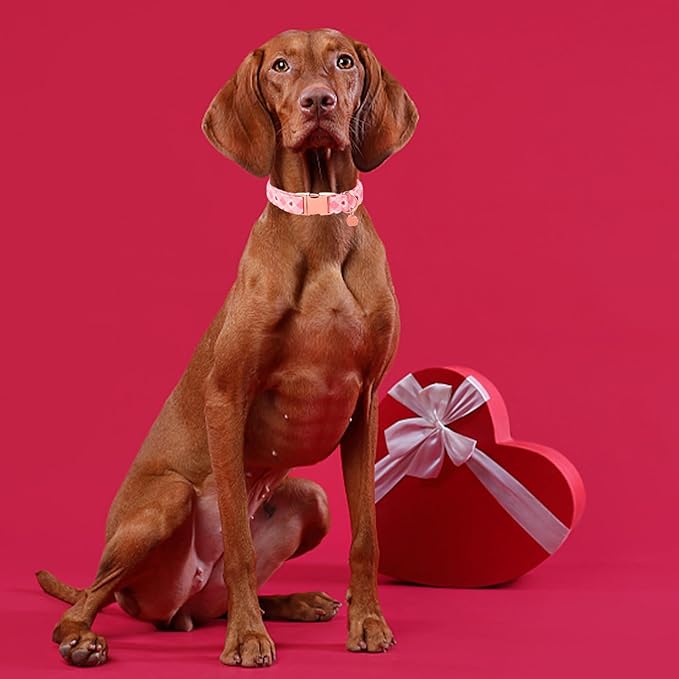 Valentine's Dog Collar,Pink Heart Dog Collar for Small Medium Large Girl Boy Dogs or Cats, Wedding Dog Collar Match Dog Leash, Pet Collar with Metal Buckle, S
