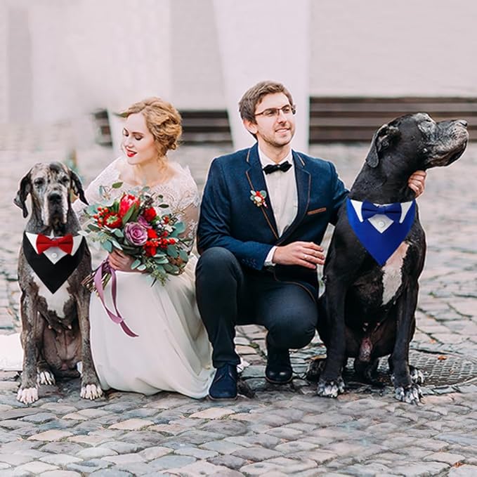 Tuxedo Dog Collar for Wedding Engagement and Birthday, Formal Dog Bandana Collar Costume with Bow Tie and Adjustable Buckle,Suitable for Small Medium Large Dog. (Red, S)