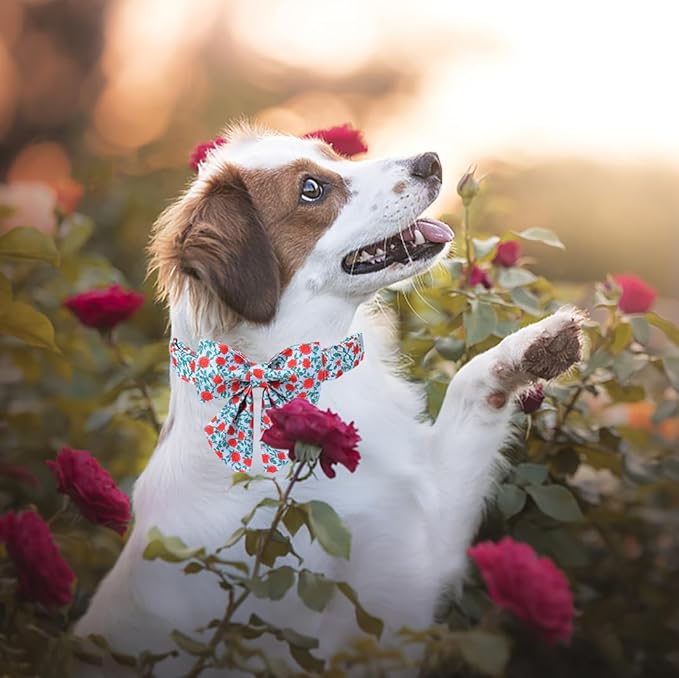 Lionet Paws Design Dogs Collar Cute Flower Sailor Bow Dog Collars for Girl Female Small Medium Dogs with Rose M