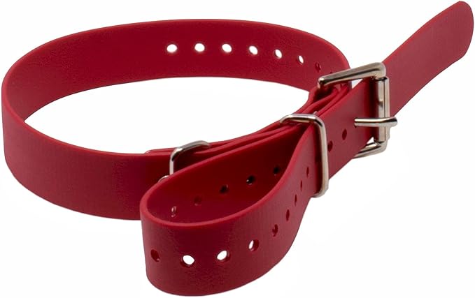 Educator Biothane Dog Collar, Waterproof, Odorproof, Metal Buckle and D Ring, Adjustable for Custom Fit, Cool and Comfortable, for Small, Medium, or Large Dogs, 1-Inch, Red