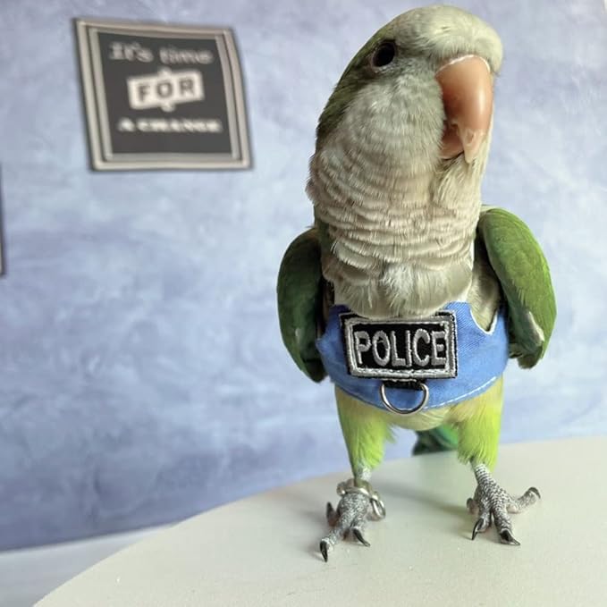 Bird Flight Harness Vest, Parrot Flight Suit with Leash, Bird Flying Clothes with Rope and Handle for Outdoor Activities (with Leash,Cockatiel)