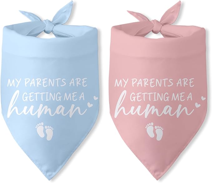 My Parents are Getting Me a Human Dog Bandana - Gender Reveal Gifts, Pregnancy Announcement, Baby Announcements Ideas, Photo Prop for Large Medium Small Dogs - 2 Packs