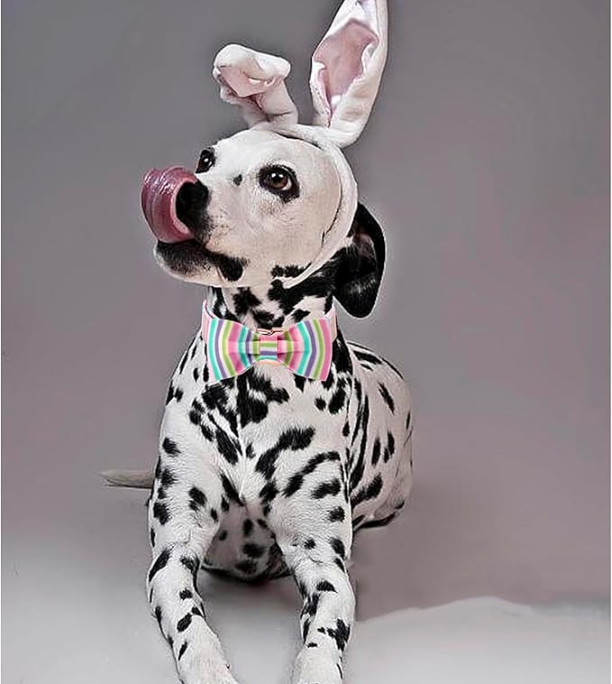 Lionheart glory Easter Dog Collar, Dog Collar with Bow, Pet Collar Adjustable Collar for Dog Bowtie Collars for Large Dogs