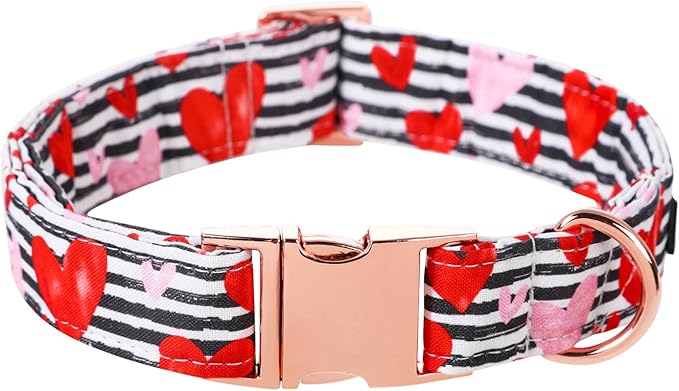 Lionet Paws Valentine Dog Collar, Heavy-Duty Cute Red Heart Pattern Fabric Pet Collar with Metal Buckle for Puppy and Cats, X Small, Neck 8-12 inches