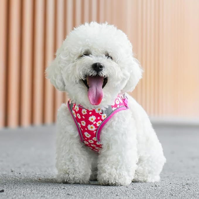 Step in Dog Harness and Leash Set, Flower Adjustable Easy Walk Puppy Harnesses, Soft Mesh Pet Vest Harness Small Size Dog Adjustable No Pull Dog Harness for Small Medium Dogs(Rose red, XS)