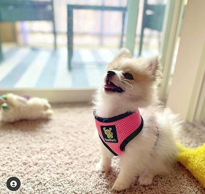 EcoBark Dog Harness - Eco-Friendly Max Comfort Harnesses - Luxurious Soft Mesh Halter - Over The Head Harness Vest- No Pull and No Choke for Small, Toy Breed, and Teacup Dogs (XS, Light Pink)