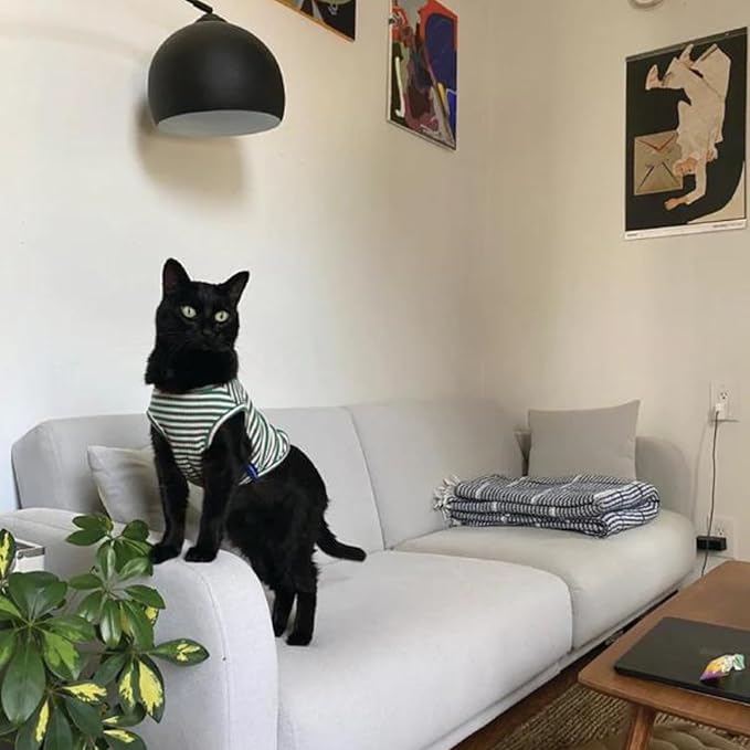 Little Beast Dog Clothes - Pet Clothes for Large, Medium, and Small Dogs (Dog Shirts Come in Multiple Colors and Styles) - Size: X-Large Dogs, Multicolor