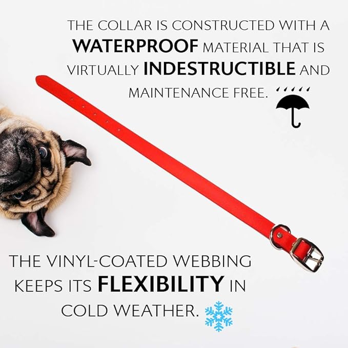Regal Dog Products Small Red Waterproof Dog Collar and Leash Set | Heavy Duty Double Buckle & D Ring - 5'ft Leash | Adjustable Biothane Dog Collar | Chew Resistant Waterproof Collar for Dogs