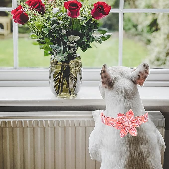 Lionheart Glory Valentine's Day Collar with Flower, Pink Collar with Bowtie for Small Dogs