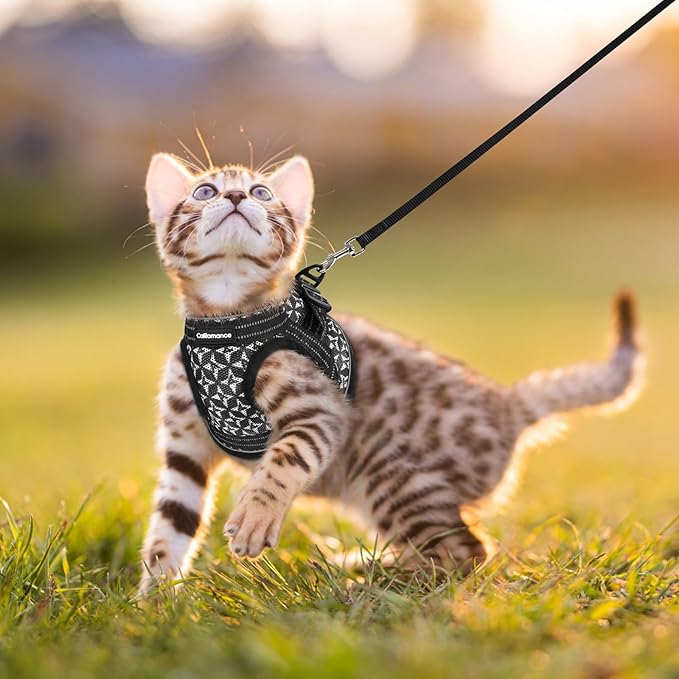 Cat Harness and Leash Escape Proof for Walking, Safe Adjustable Medium Kitten Vest Set with Reflective Strip for Kitty, Easy Control Comfortable Soft Outdoor Pet Harnesses, Black, Medium