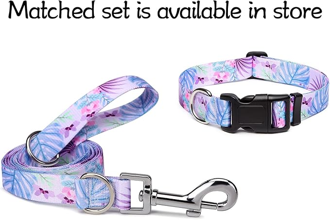 Adjustable Dog Collar with Patterns, Ultra Comfy Soft Nylon Breathable Pet Collar for Small Medium Large Dogs (L, Purple Flower)