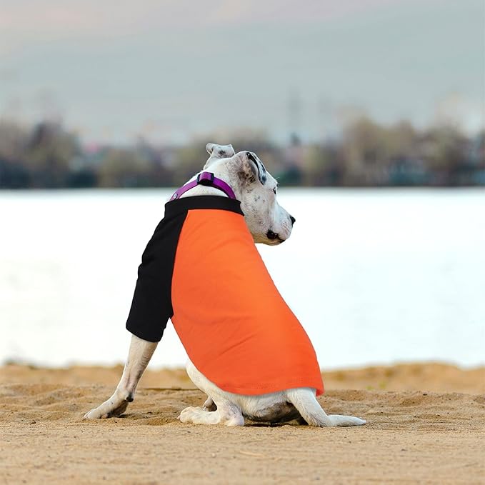 2 Pack Dog Shirts Pet Tshirt with Sleeves Soft Tank Top for Sensitive Skin Sun Protection, Breathable & Stretchy Dog Clothes for Small to Large Dogs Lightweight Summer Pet Outfit, Grey+Orange