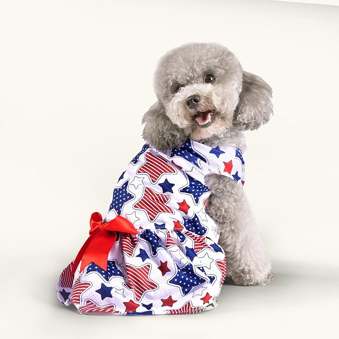 CuteBone Dog Mesh Dress Puppy Sundress Pet Outfit Summer Fashion for Small Dogs Girl Cat Clothes BF11XS