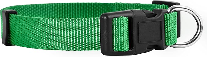 Native Pup Basic Nylon Dog Collar, Adjustable for Small, Medium, Large pet and Puppies Accessories, Cute Colors for Male, Female, boy, Girl, Puppy (Large, Green)