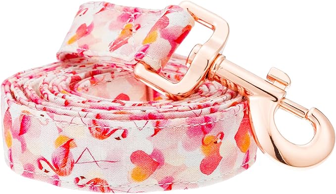 Tunkoo Pink Flamingo Heart Dog Leash - Stylish, Safe, Comfortable for Small Medium Large Dogs Pets Daily Walking M