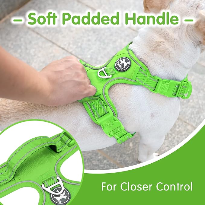 PoyPet No Pull Dog Harness and 5 Feet Leash Set, Release on Neck Reflective Adjustable Pet Vest, Front & Back 2 D-Ring and Soft Padded Pet Harness with Handle for Small to Large Dogs(Green,XL)