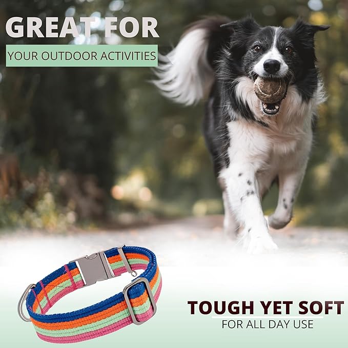 ADITYNA Cotton Dog Collar with AirTag Holder - Heavy-Duty Metal Buckle, Breathable, Easy Adjustable for Medium & Large Breeds - for Walking, Training (Bright Rainbow, Fits 15-21" Necks)