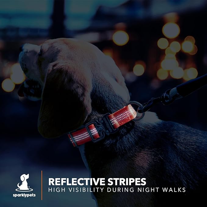 SparklyPets Small Dog Collar with Quick Release Buckle & AirTag Holder – Collars for Female Dogs & Boys with Reflective Stripes & Soft Lining – Perfect for Small & Medium Breeds