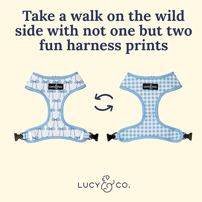 Lucy & Co. Cute Reversible Dog Harness Walking Halter - Best Designer Pet Harnesses for XS - XL Dogs - Padded Adjustable Vest for Easy Walking - Medium - White with Blue Bows