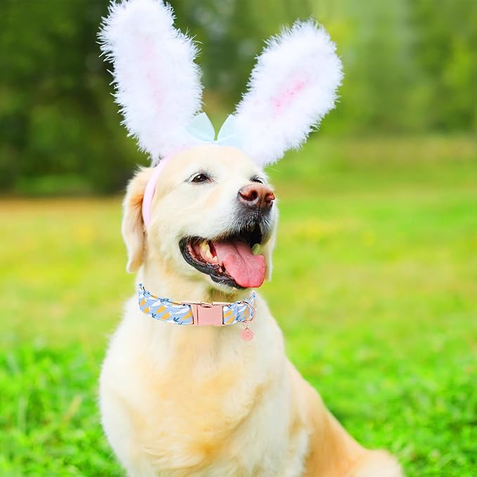 Easter Dog Collar, Cotton Easter Egg Collar for Puppy Girl Boy Dog or Cat, Easter Gift Rabbit Dog Collar, Cute Carrot Pet Dog Collar with Metal Buckle, XL