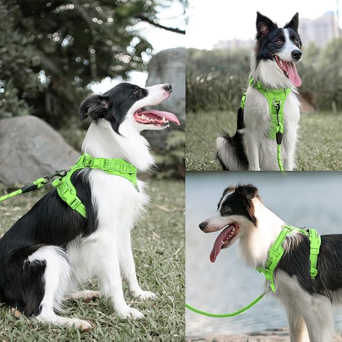 PoyPet Dog Harness and Leash Set, No Pull Adjustable Reflective Padded Pet Vest Oxford Harness with a Heavy Duty 5ft Dog Leash for Small Size Dogs (Green, S)