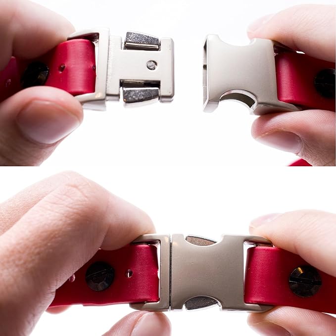 Educator Quick Snap Bungee Dog Collar, Biothane, Waterproof, Odorproof, Easy Connect and Disconnect Clasp and D Ring with Comfort Bungee Loop, Adjustable for Custom Fit, 3/4-Inch, Red