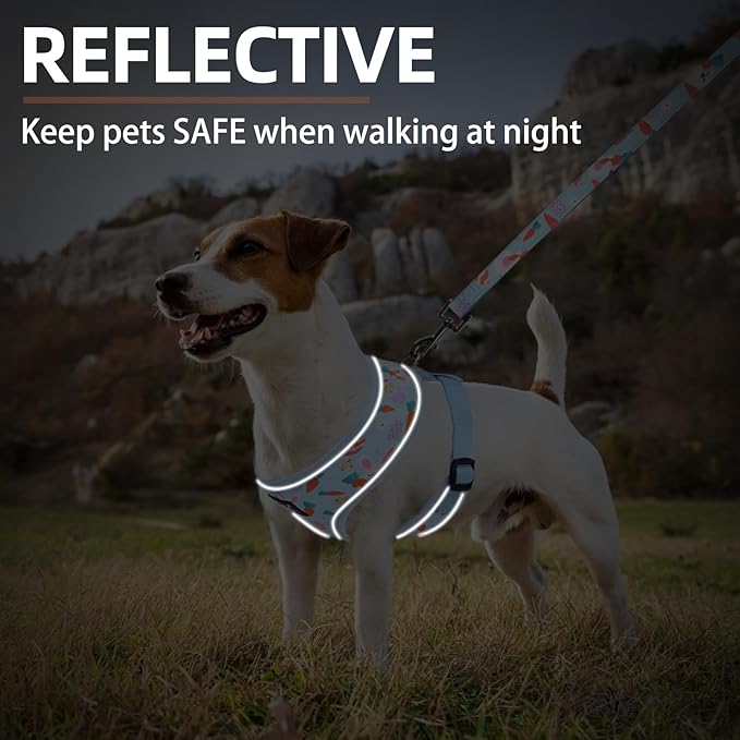 PUPTECK Soft Mesh Dog Harness and Leash Set Pet Puppy Cat Comfort Padded Vest No Pull Harnesses, Easter Blue, S