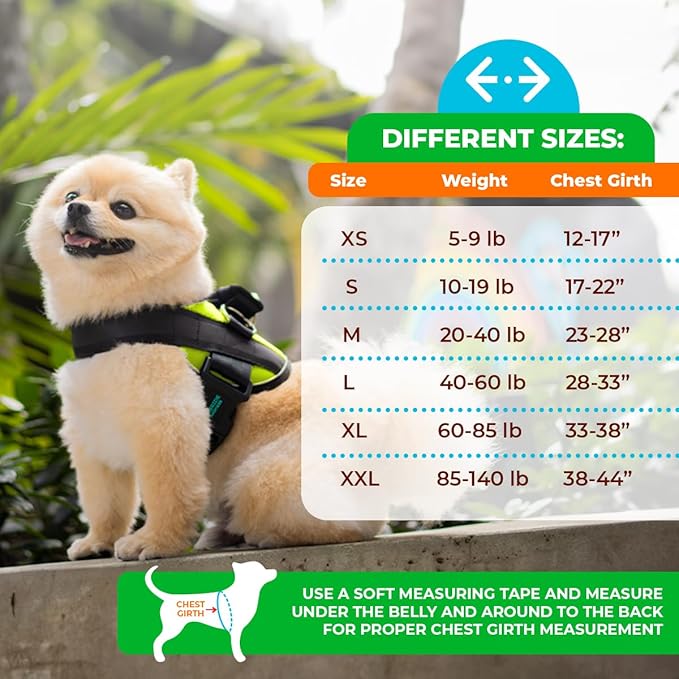 Joyride Harness LED Light Up Dog Harness 2.0 - Patent Pending Design, 3 LED Modes, Vibrant Rechargeable Lighting, Customizable Name Tag Area, and Convenient On/Off Button for Enhanced Pet Safety