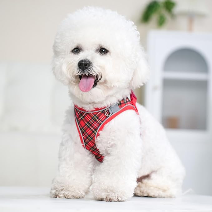 No Pull Dog Harness and Leash Set for Medium Dogs Puppy Cats Ajustable Classic Plaid Dog Vest Harness Soft Mesh Reflective Step-in Harness Escape Proof for Walking Red M