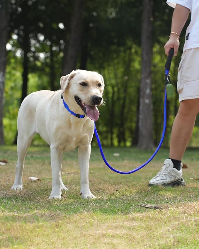Joytale Reflective Dog Leash, Heavy Duty Nylon Rope with Poop Bag Holder, Highly Reflective Threads Leashes for Medium Large Dogs, Navyblue, 6'×1/2''
