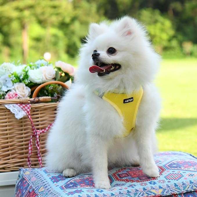 AMTOR Small Dog Harness with Leash Set, No Escape Easy Walk Puppy Harnesses for Training Walking, Step-in Reflective Soft Dogs Vest for XS S Medium Extra-Small Large Sized Dog(Yellow)