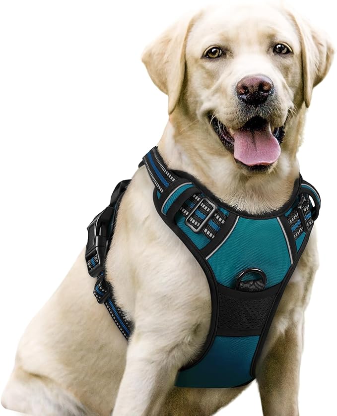 rabbitgoo Dog Harness No Pull with 2 Leash Clips, Adjustable Soft Padded, Reflective Oxford No Choke Pet Vest with Easy Control Handle for Large Dogs, Blue Coral, L