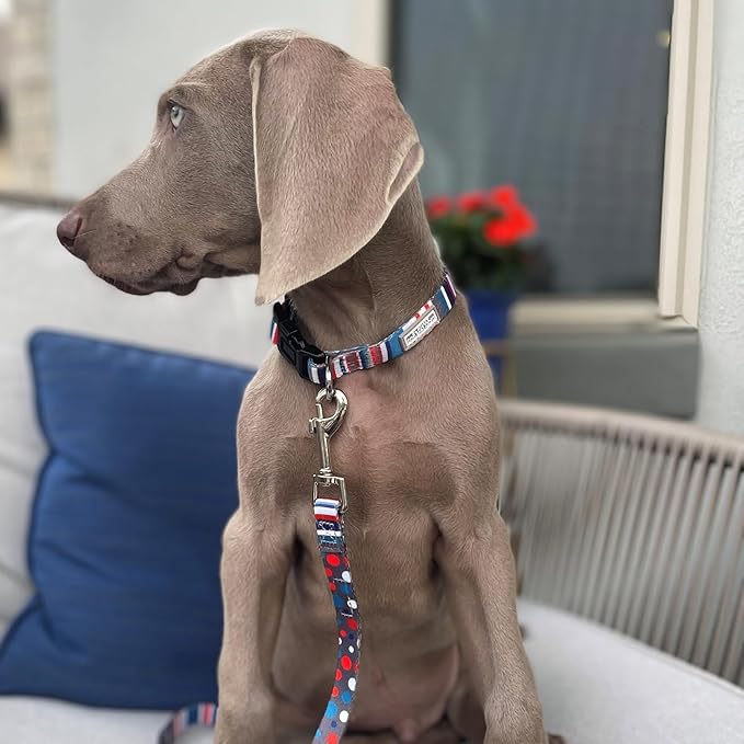 Lucky Love Dog - Adjustable Dog Collar and Leash Set with Easy Click Buckle for Small to Large Dogs, Durable, & Comfortable Collar for Male & Female Dogs, Puppies & Adult Ones - Linus Combo, XS