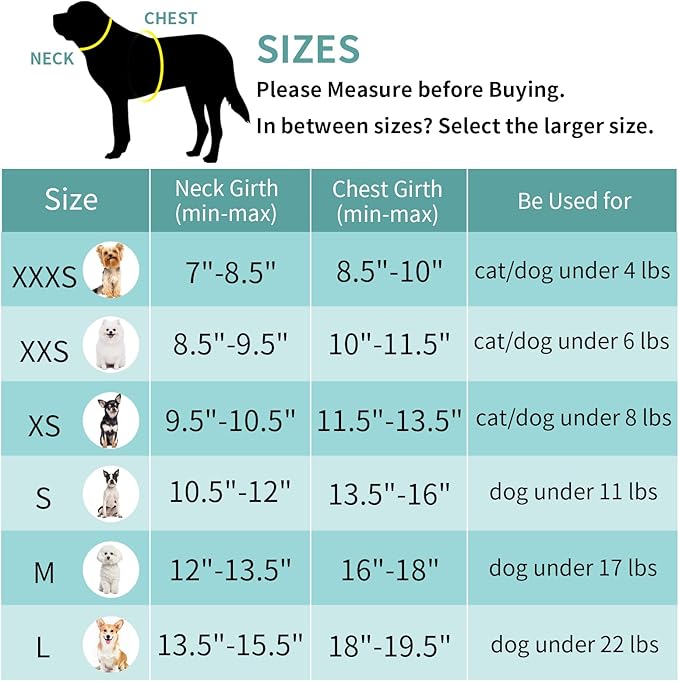 AIITLE XXS Dog Harness & Leash Set - Breathable Reflective No-Choke Small Dog Harness for Teacup Puppies, Indoor/Outdoor Use - Boston Terrier, Maltese, Chihuahua (Turquoise, XXS)
