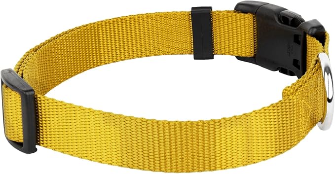 Country Brook Petz - American-Made Dog Collar for Large, Medium, and Small Dogs and Puppies - Deluxe Heavy Duty Nylon in 33 Dazzling Colors (Extra Large, 1 Inch Wide, Gold)