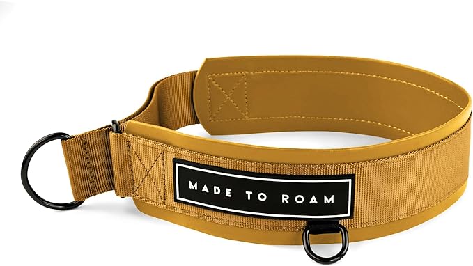 MADE TO ROAM Premium Everyday Dog Collar - Martingale Style No Pull Vegan Leather Collar, Heavy Duty and Lightweight for Small, Medium, Large Dogs (Michigan Autumn, Size 12)