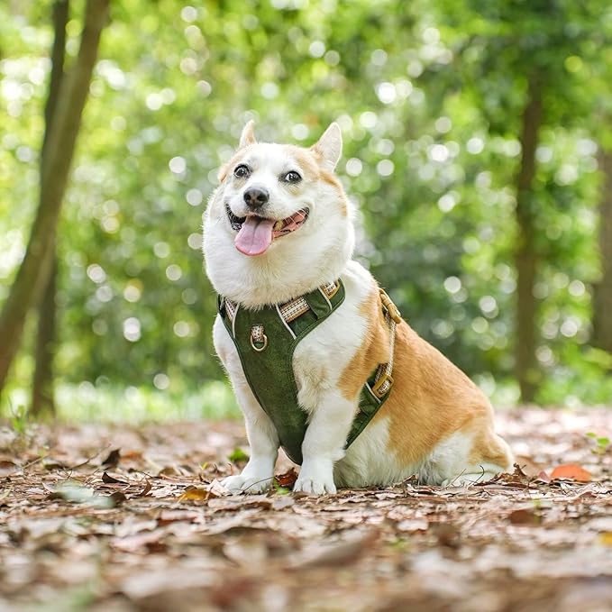 Beirui Dog Harness for Large Dogs, Stylish Oxford Leather Pet Vest with 2 Leash Clips, Adjustable Reflective Soft Padded No Pull Harness with Easy Control Handle for Walking, Chest 31-44"