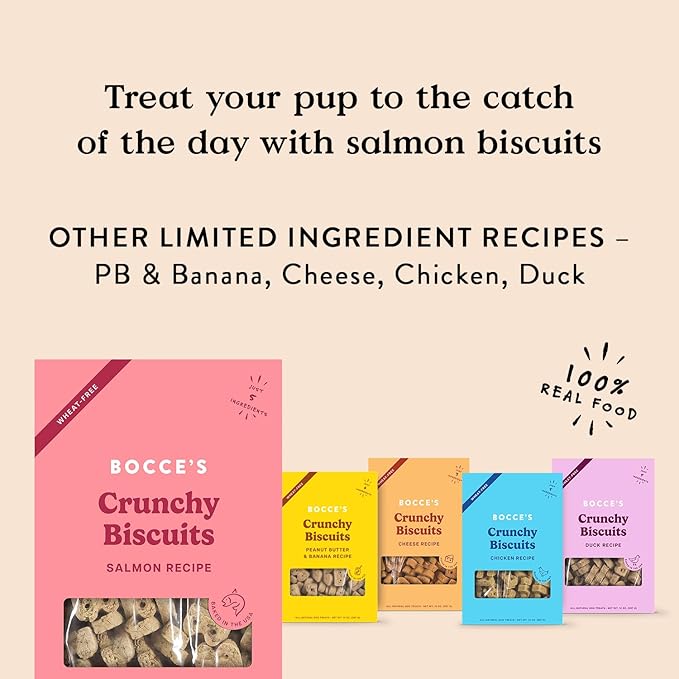 Bocce's Bakery Oven Baked Salmon Recipe Treats for Dogs, Wheat-Free Dog Treats, Made with Real Ingredients, Baked in The USA, All-Natural Salmon, Sweet Potato & Parsley Biscuits, 14 oz