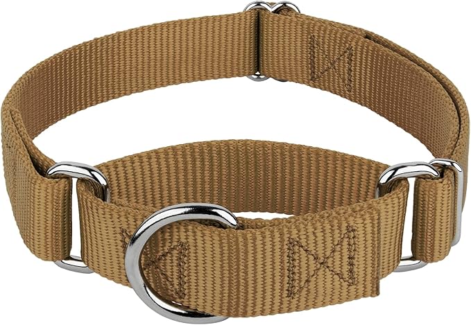 Country Brook Petz Martingale Dog Collar - Heavy-Duty Training Collar with No Buckle - Service Dog Collar for All Pups - Vibrant, Colorful Collection (Coyote Tan, 3/8 Inch, 2XS)