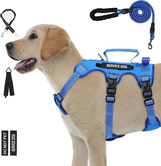 Escape Proof Dog Harness for Large Medium Sized Dogs Six Point Adjustable, Service Dog Vest Harness and Leash Set, No Pull Dogs Harnesses with Handle, Medium Dog Harnesses for Walking(Blue, M)