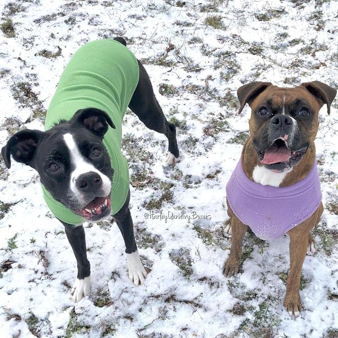 Gooby - Stretch Fleece Vest, Pullover Fleece Vest Jacket Sweater for Dogs, Grass Green, 5X-Large