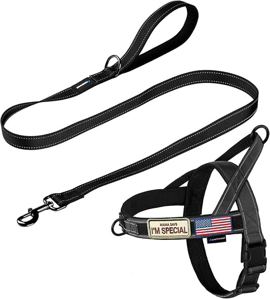 Annchwool No Pull Dog Harness with Padded Handle+5 Ft Leash,Reflective Strip Escape Proof and Quick Fit to Adjust Dog Harness,Easy for Training Walking for Small & Medium and Large Dogs(Black-Set,S)