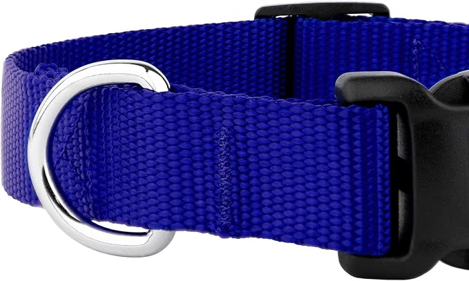 Country Brook Petz - American-Made Dog Collar for Large, Medium, and Small Dogs and Puppies - Deluxe Heavy Duty Nylon in 33 Dazzling Colors (Extra Large, 1 Inch Wide, Bright Royal Blue)