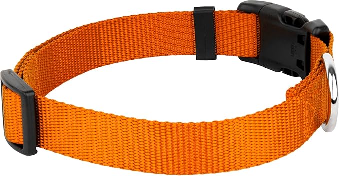 Country Brook Petz - American-Made Dog Collar for Large, Medium, and Small Dogs and Puppies - Deluxe Heavy Duty Nylon in 33 Dazzling Colors (Extra Large, 1 Inch Wide, Orange)